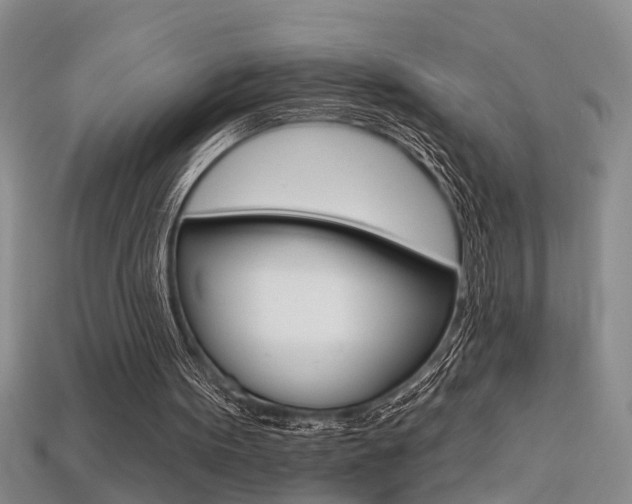 X0000113270099200909101319