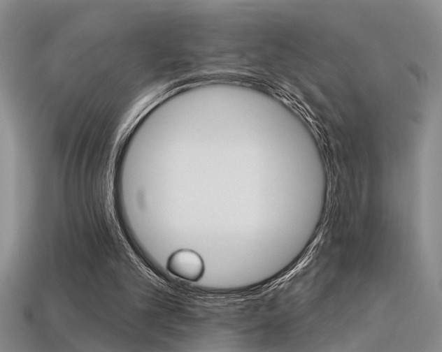X0000113270101200909101319