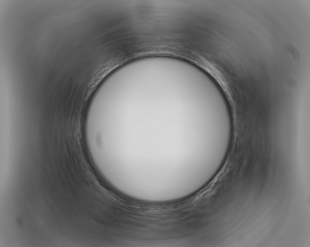 X0000113270105200909101319