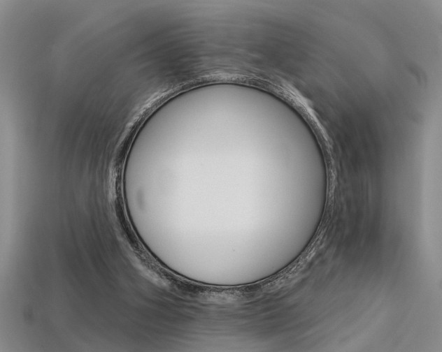 X0000113270106200909101319