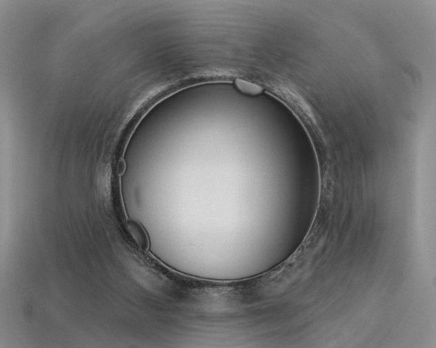 X0000113270108200909101319