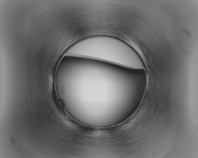 X0000113270109200909101319