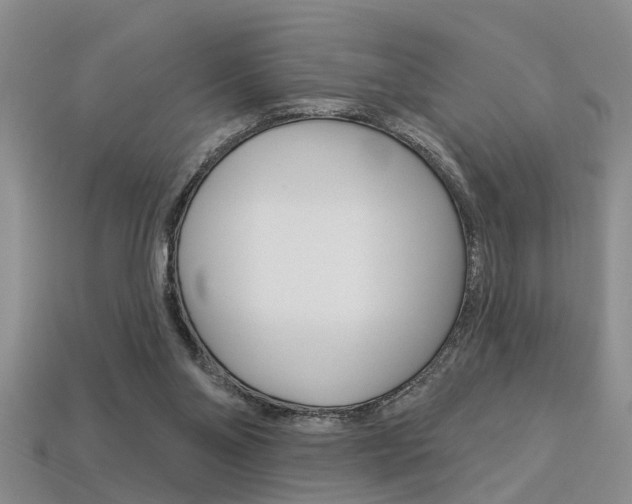 X0000113270110200909101319