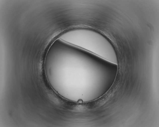 X0000113270111200909101319