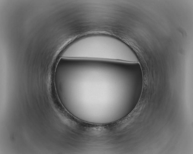 X0000113270112200909101319