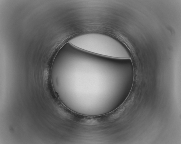 X0000113270113200909101319