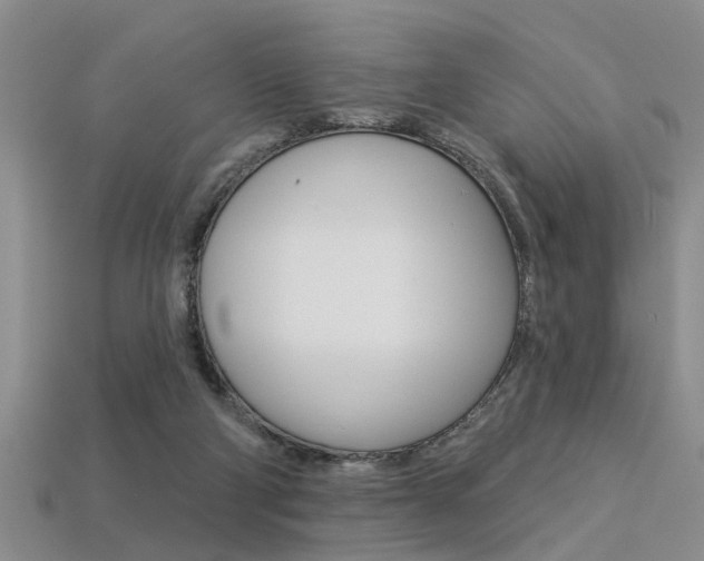 X0000113270114200909101319
