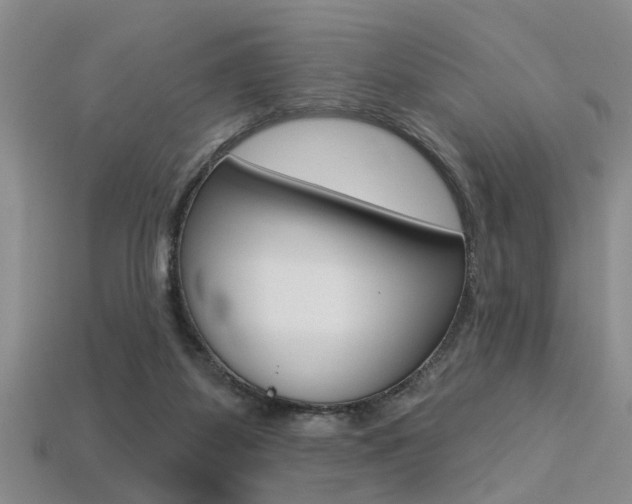 X0000113270115200909101319