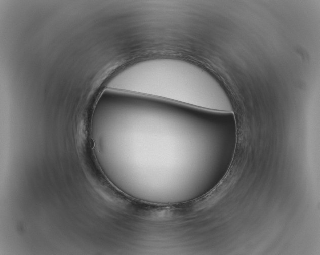 X0000113270116200909101319