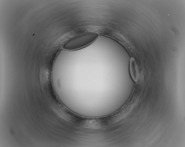 X0000113270117200909101319
