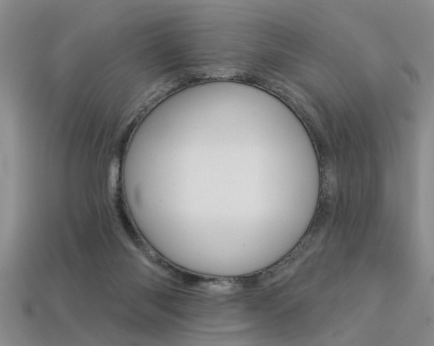 X0000113270118200909101319