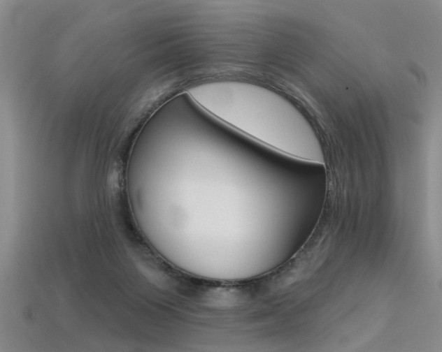 X0000113270119200909101319