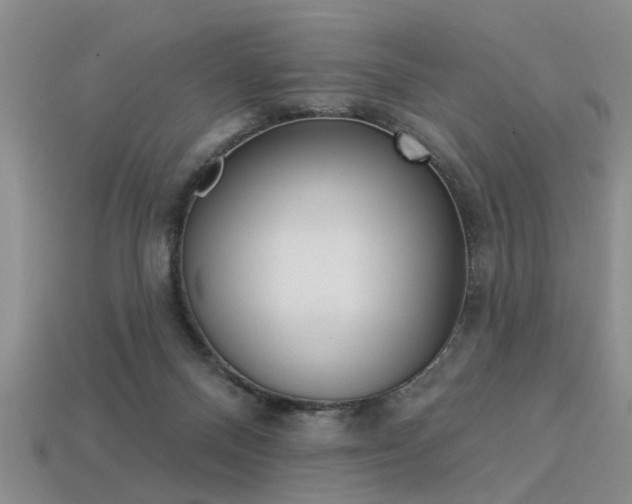 X0000113270120200909101319