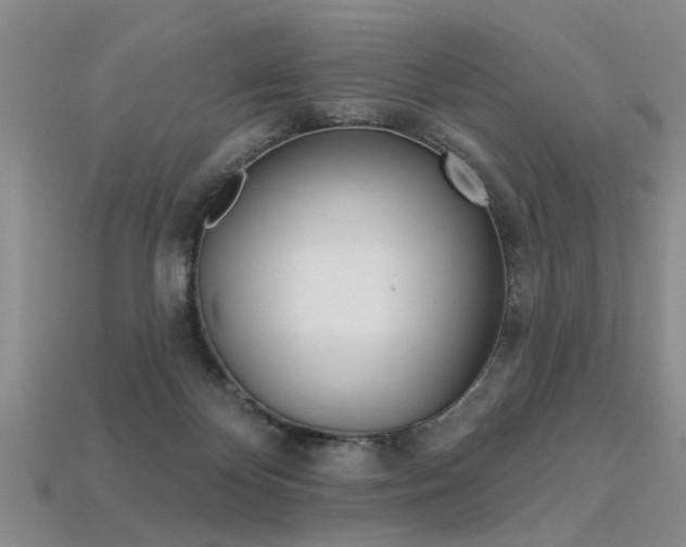 X0000113270124200909101319
