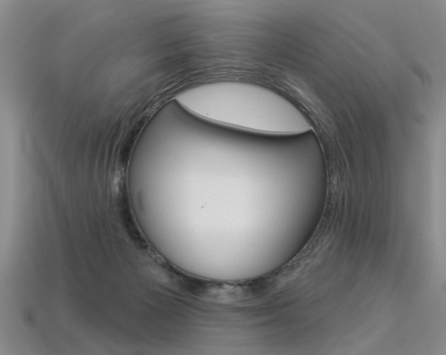 X0000113270125200909101319