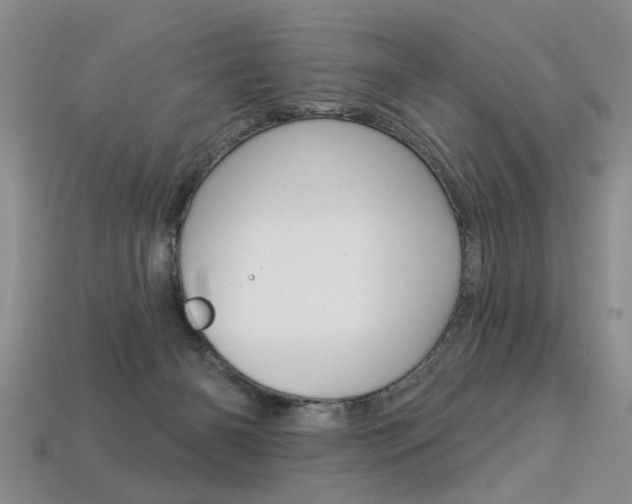X0000113270126200909101319