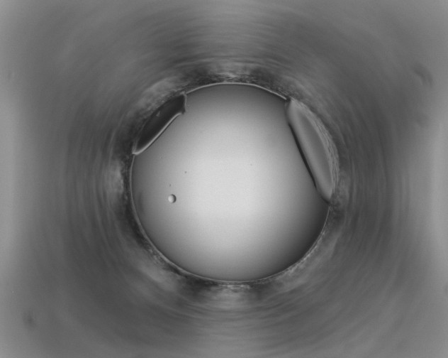 X0000113270128200909101318