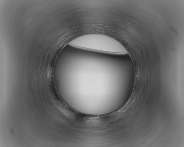 X0000113270132200909101318