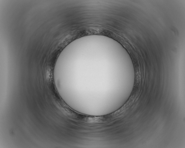 X0000113270134200909101318