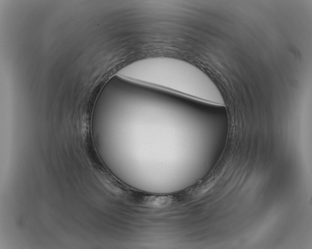 X0000113270135200909101318