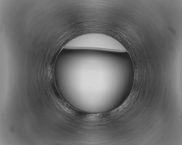 X0000113270136200909101318