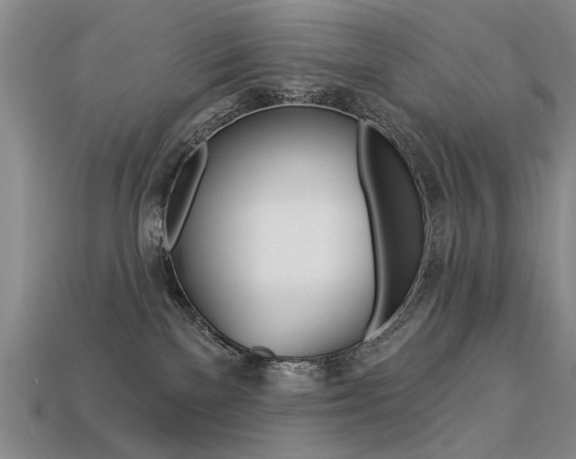 X0000113270137200909101318