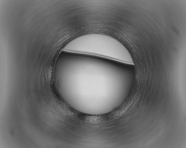 X0000113270139200909101318
