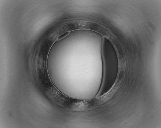 X0000113270140200909101318