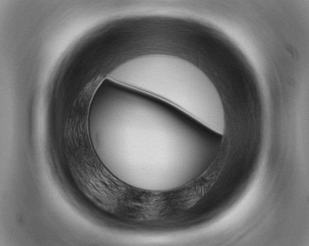 X0000113270143200909101318