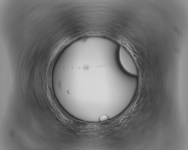 X0000113270145200909101318