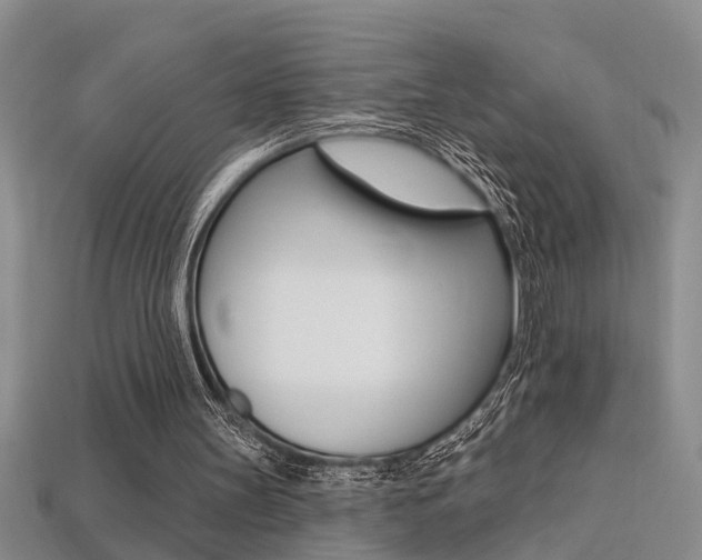 X0000113270147200909101318