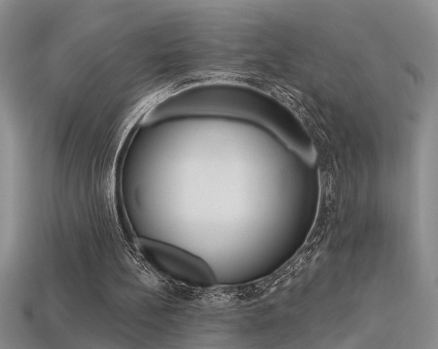X0000113270148200909101318