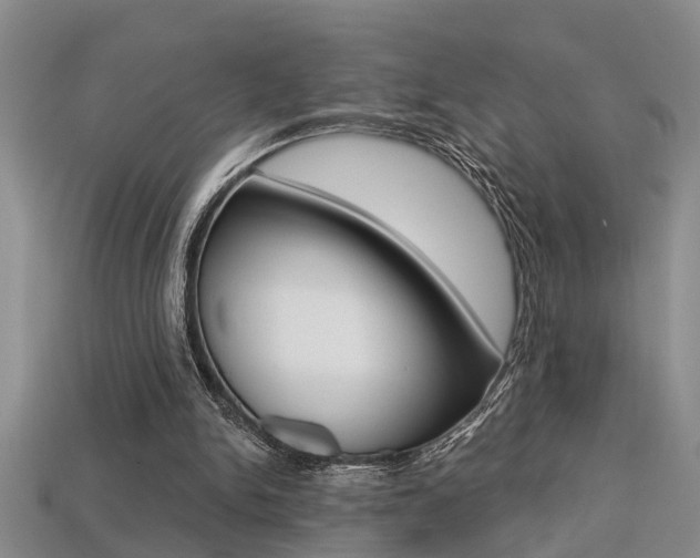 X0000113270150200909101318