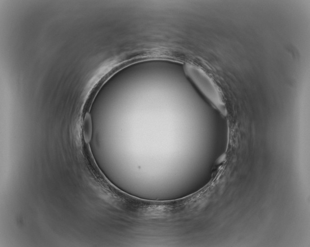 X0000113270152200909101318