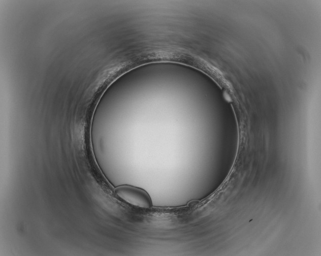 X0000113270154200909101318