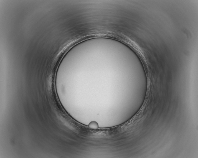 X0000113270155200909101318
