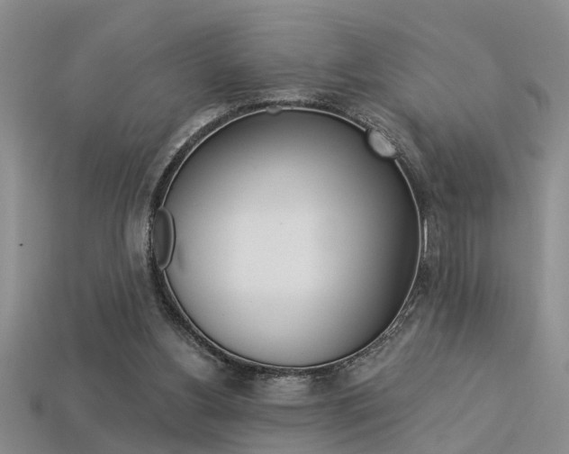 X0000113270156200909101318