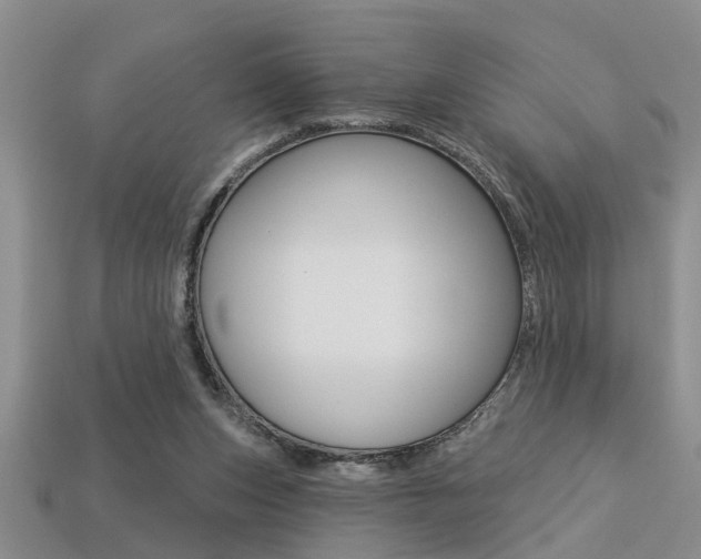 X0000113270159200909101318