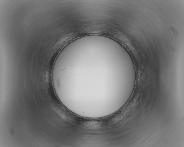 X0000113270161200909101318