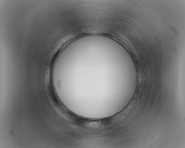 X0000113270163200909101318