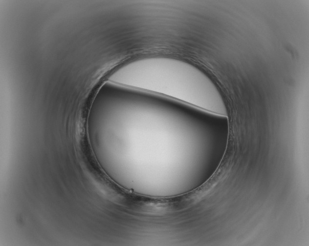 X0000113270164200909101318