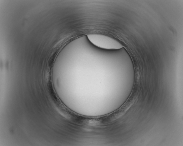 X0000113270165200909101318