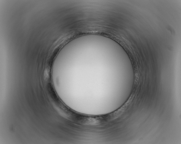 X0000113270166200909101318