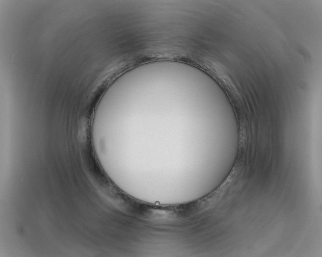 X0000113270167200909101318