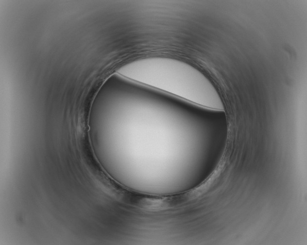 X0000113270170200909101318