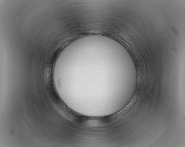 X0000113270171200909101318
