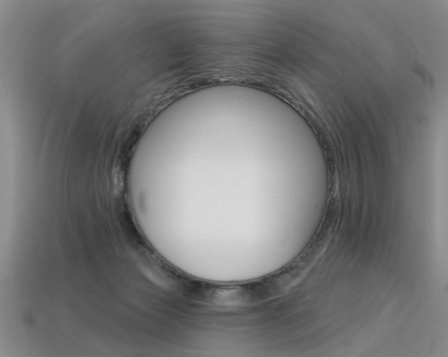 X0000113270173200909101318
