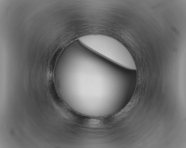 X0000113270176200909101318