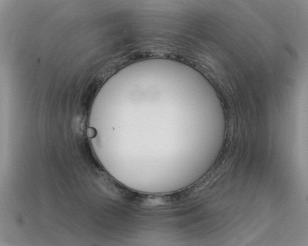 X0000113270177200909101318