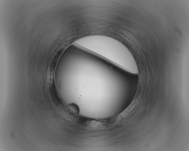X0000113270180200909101318